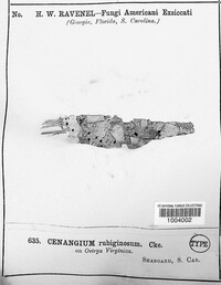 Image Associated With the Occurence